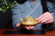 《石瓢》石瓢宜興紫砂壺純手工工藝美術師茶壺稀有本山綠泥