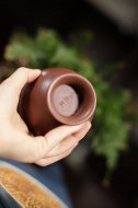 《江南水鄉》
