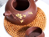 玉蘭花開(kāi)