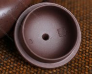 心經蓮子
