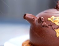 玉蘭花開(kāi)
