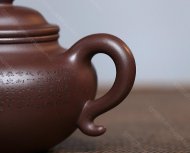 心經蓮子